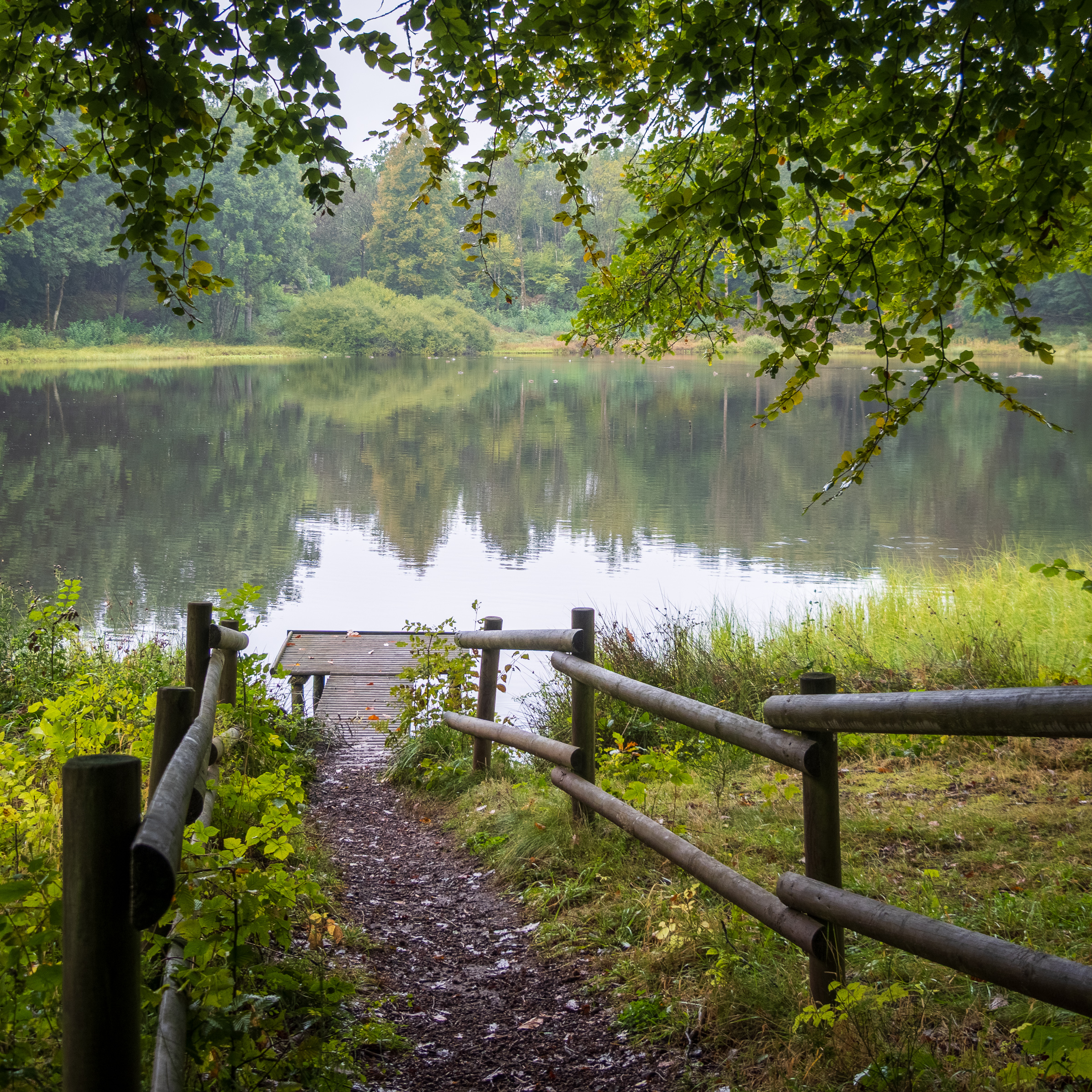 Reihenkrater Mosenberg