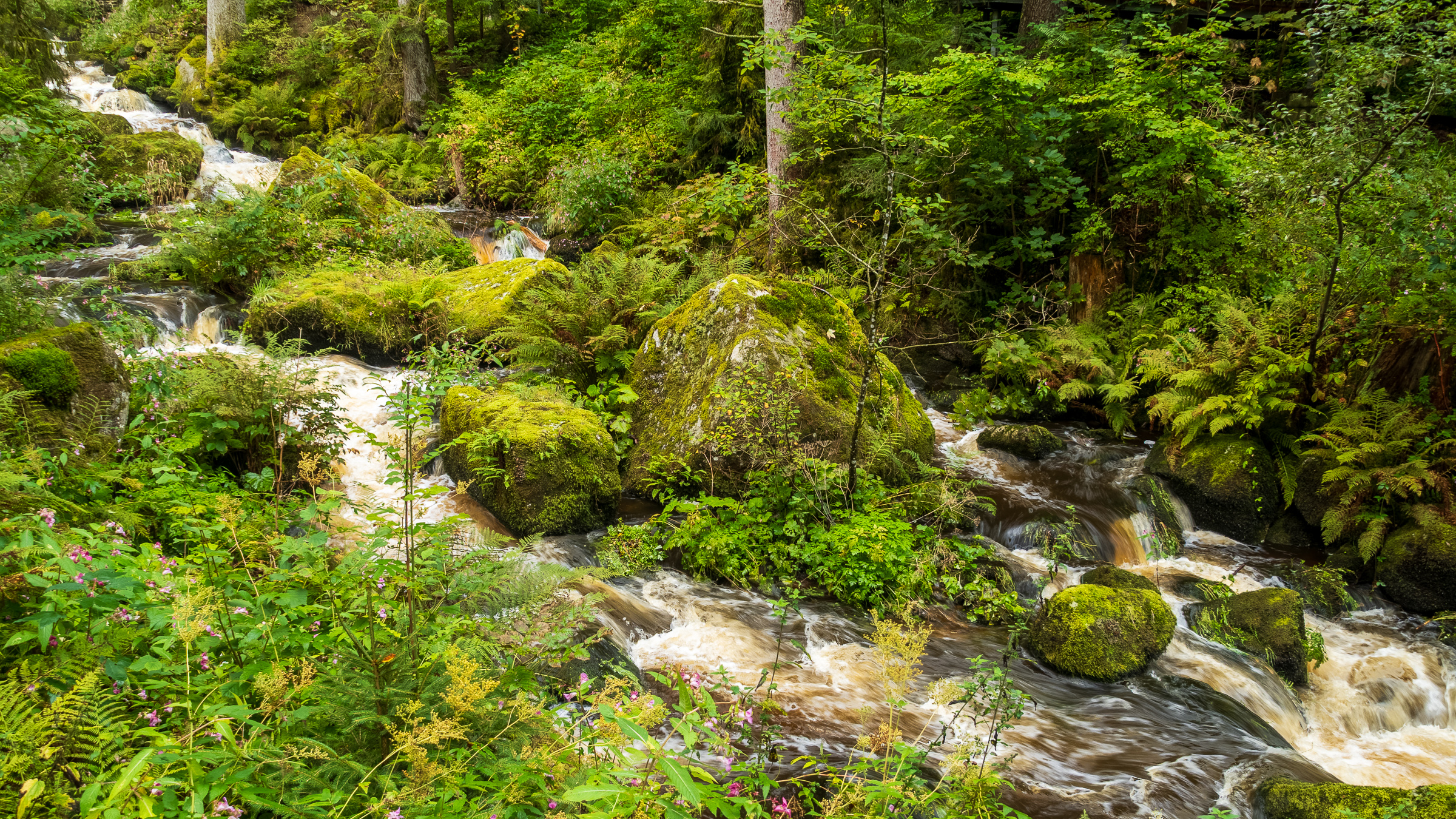 Triberg waterfalls, lower part