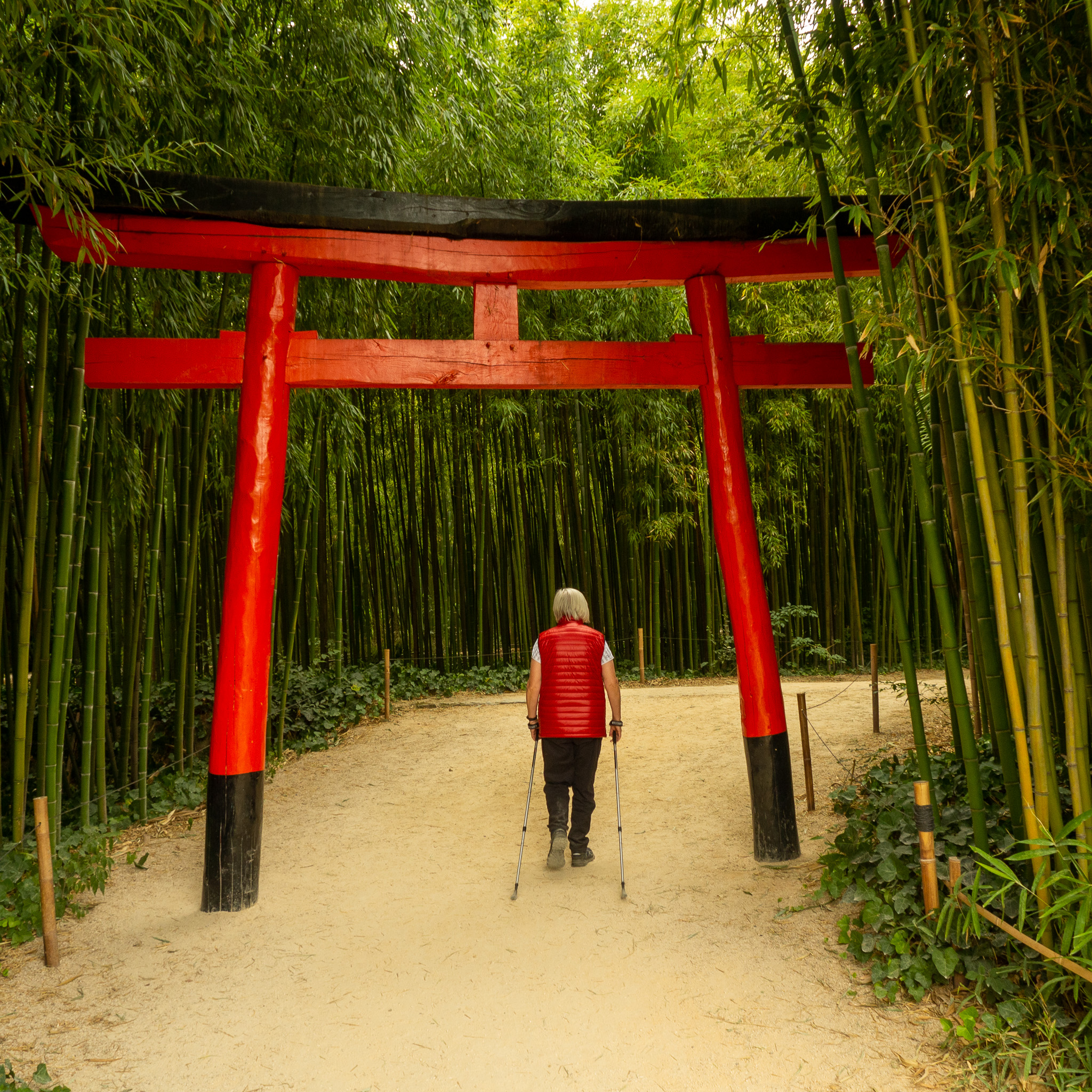 Bambouseraie de Prafrance