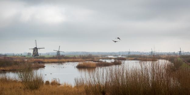 Kinderdijk (27-02-'21)