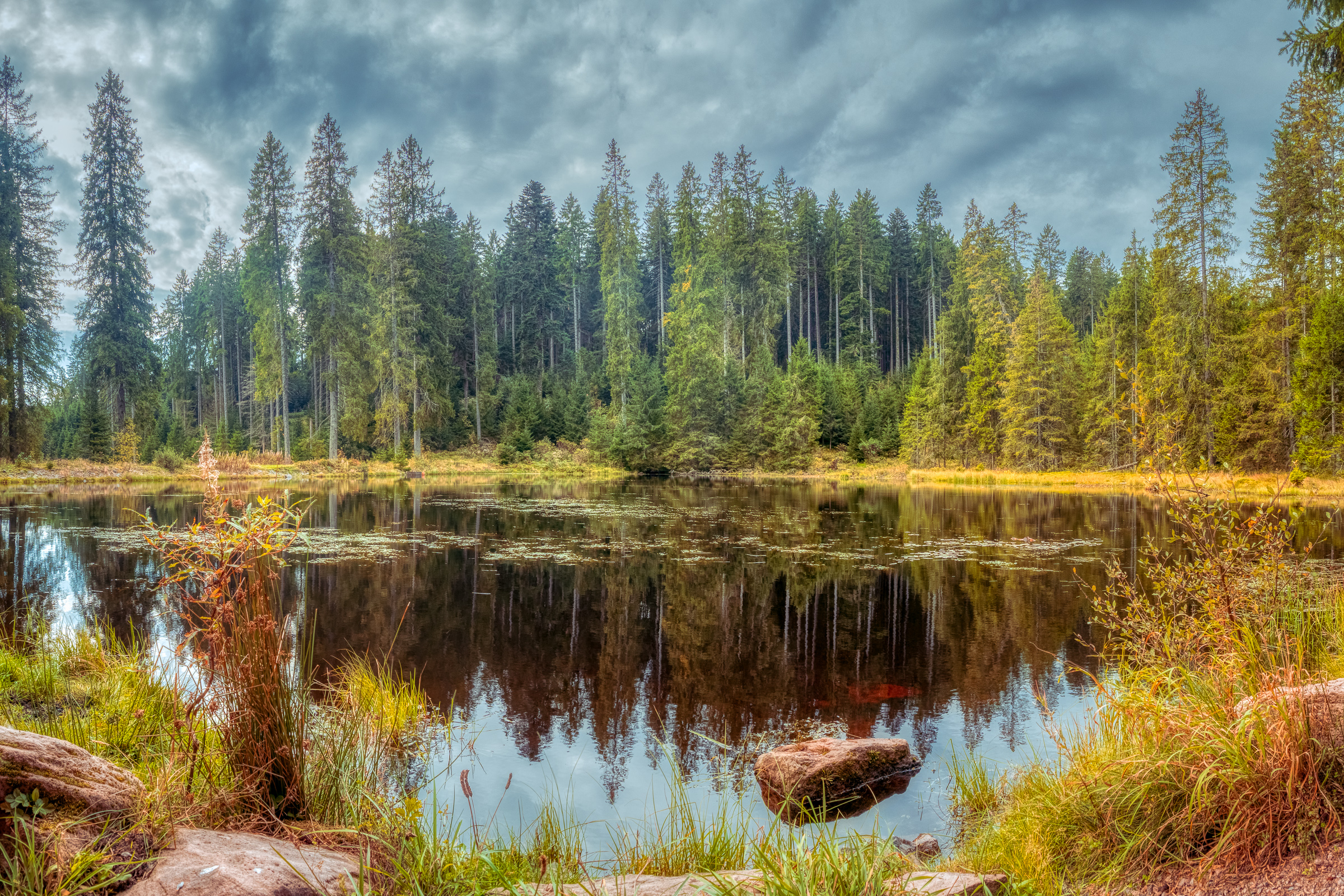 A lake created by beavers
