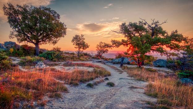 Les Mourres, Forcalquier