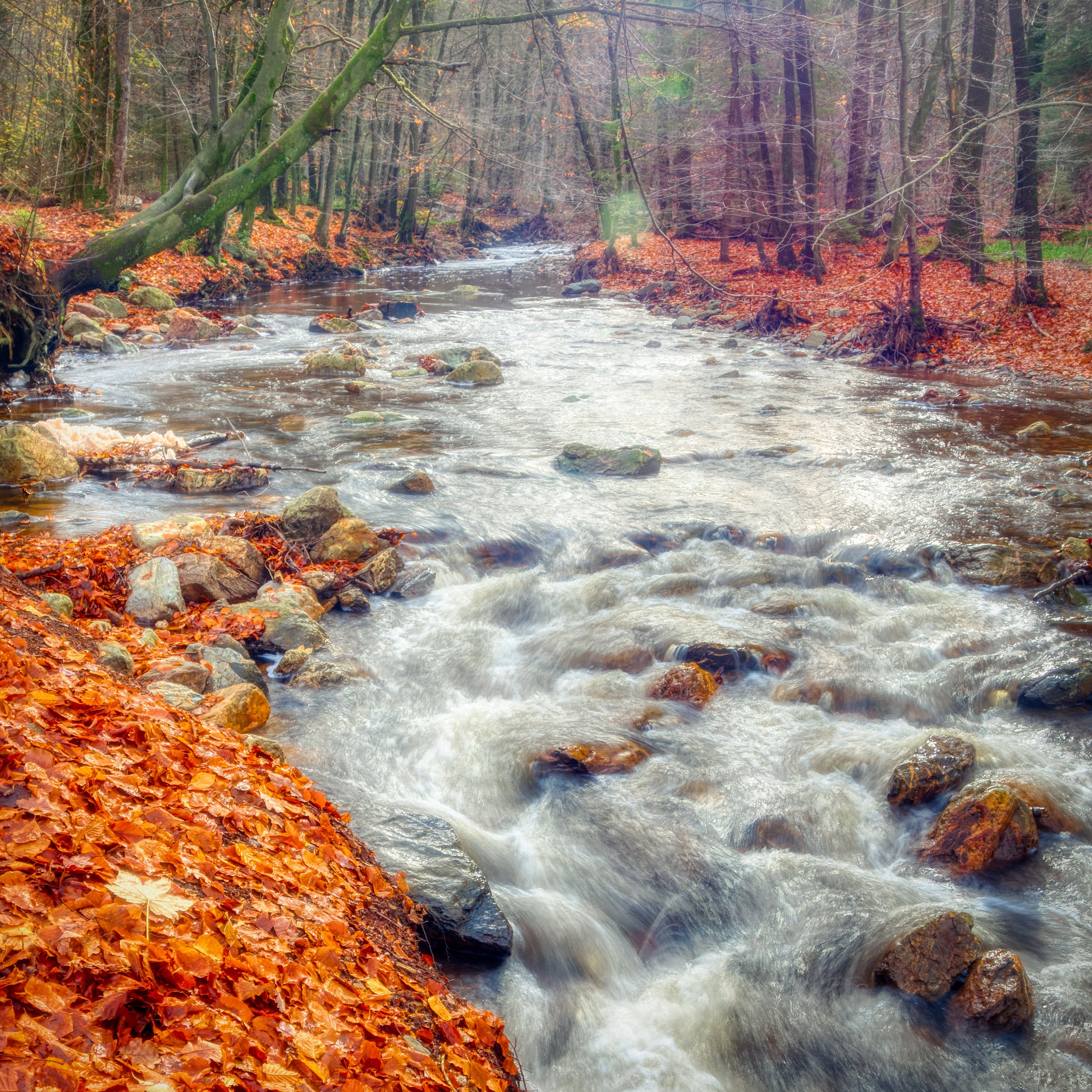Promenade de la Hoëgne (Ardennes, Belgium)
