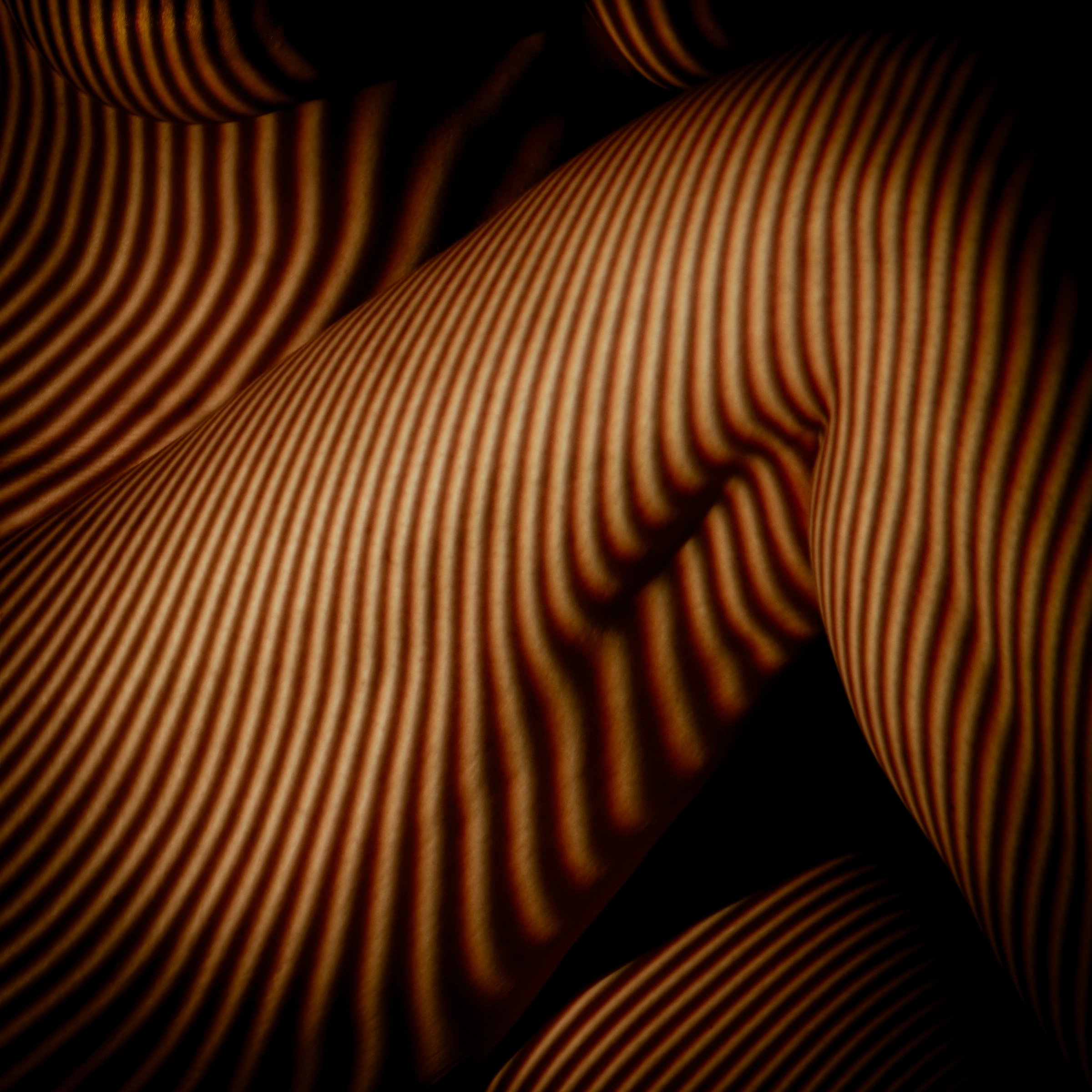 Bodyscapes