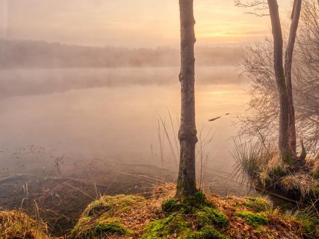 Lac des Vieilles Forges (Ardennes, France)