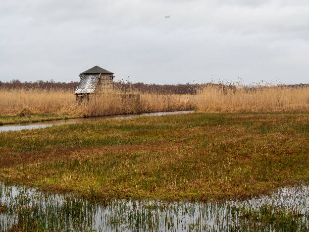 Naardermeer