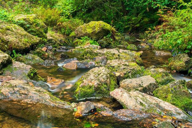 Cascade du Gueu du Saut