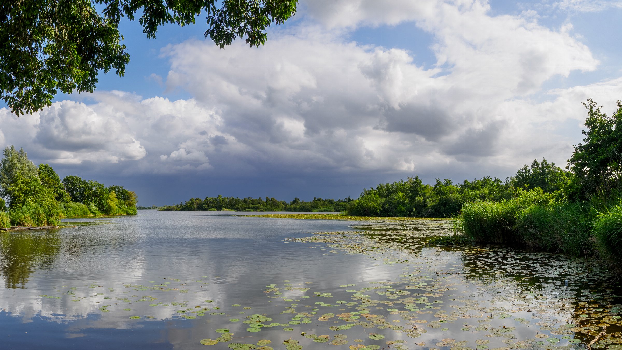 Breukeleveensche Plas (a.k.a. the Silent Lake)