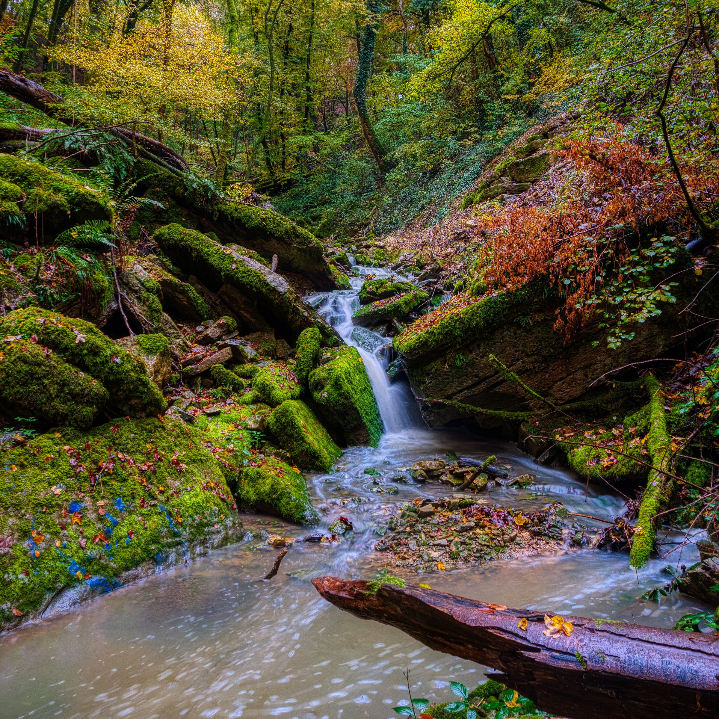 Tanzlay (Hüttingen an der Kyll, Bitburger Land, Eifel)