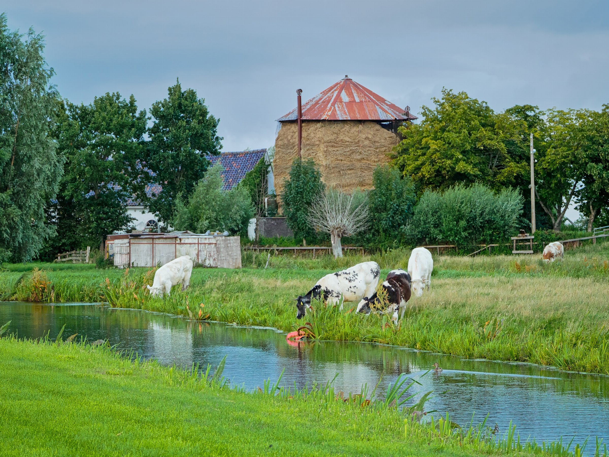 Traditional 'drieroeder' hay stack, Vlist.
