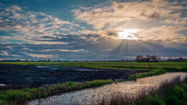 Westbroekse Zodden