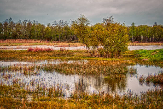 Naardermeer