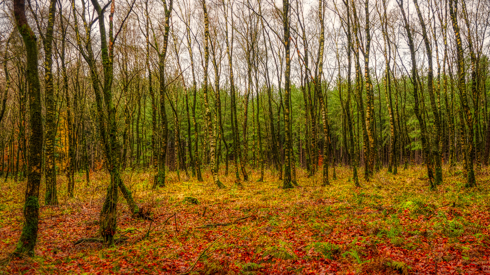 Valouwe (Olympus OMD-EM10)