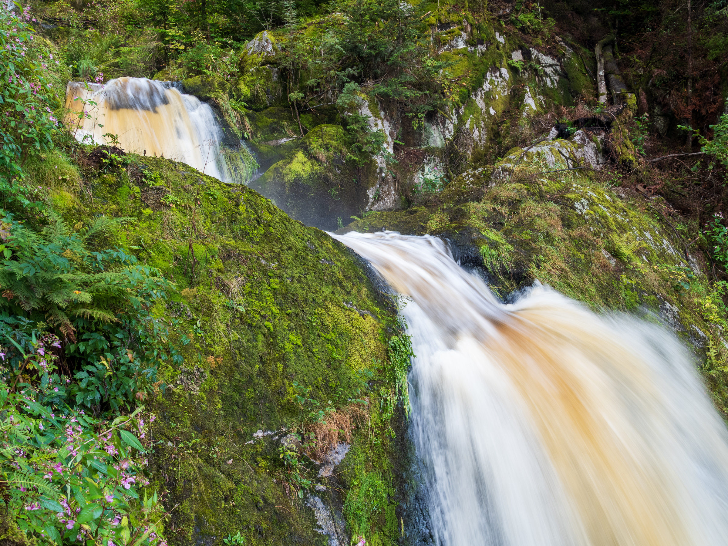 Triberg waterfalls