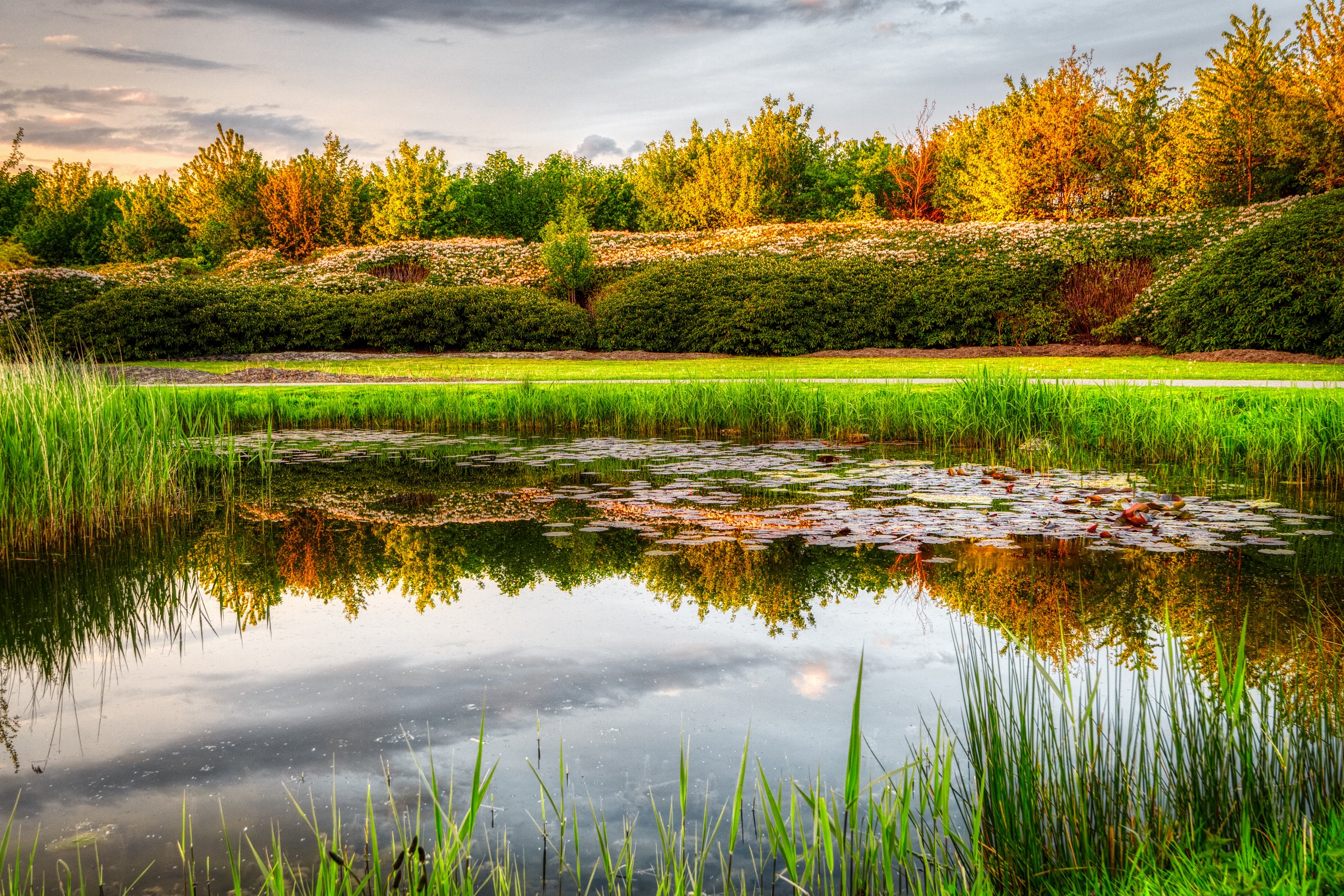 Japanese Garden, Máximapark, Utrecht