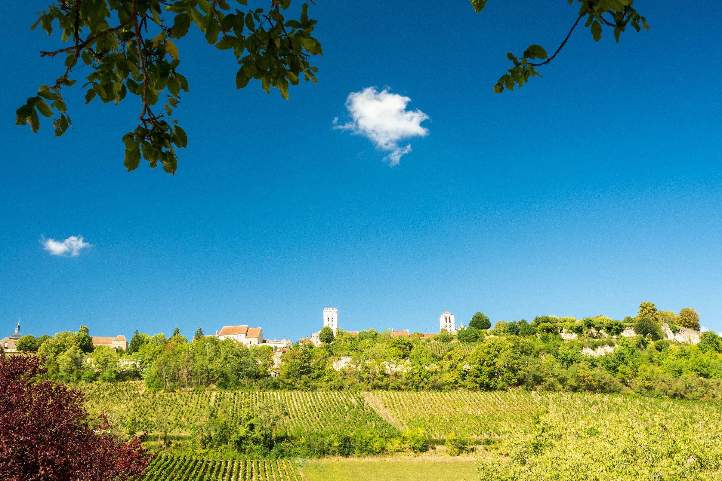 View on Vézelay