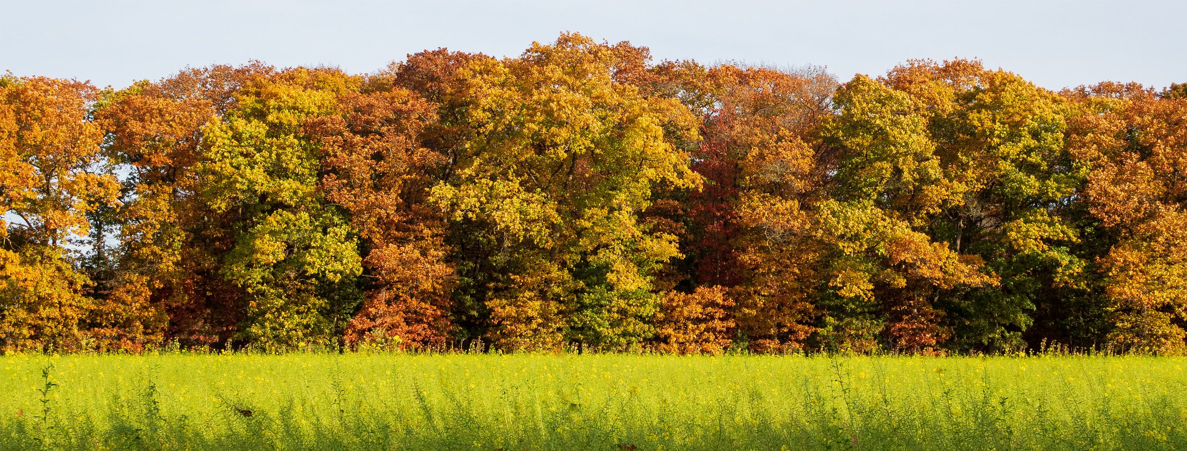 Rijk der Heide (Arnhem)