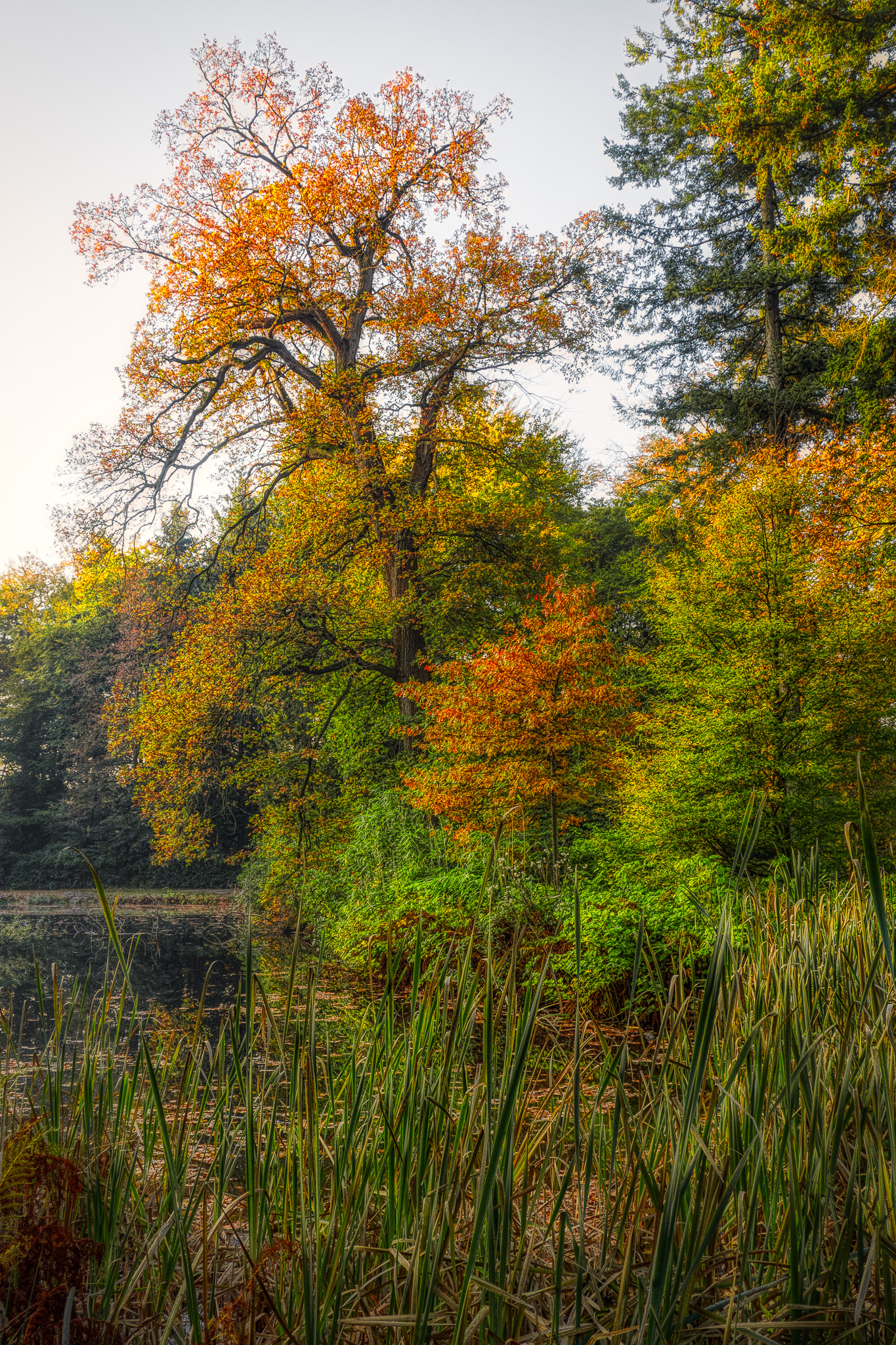 Boekesteyn, 's-Graveland
