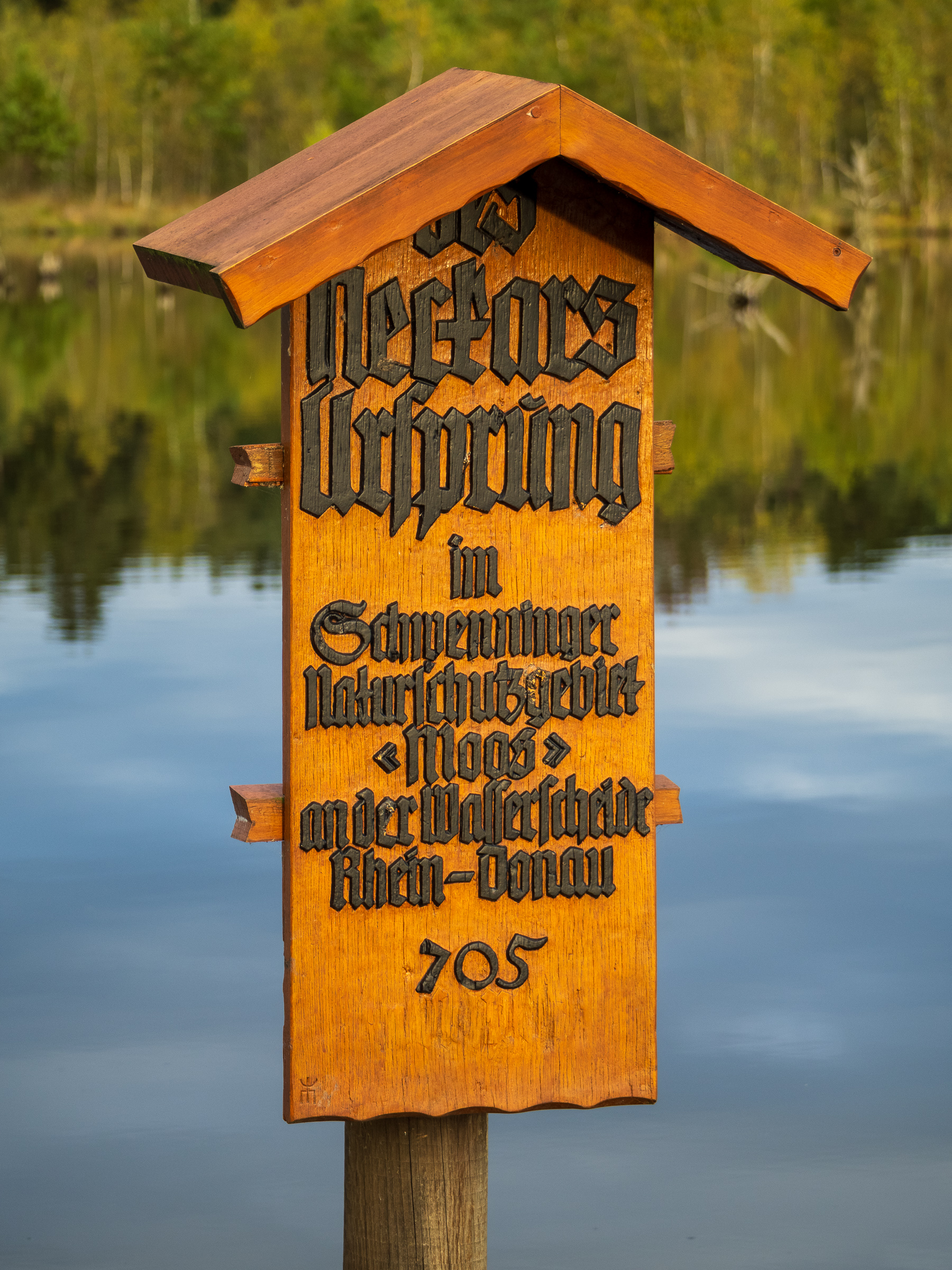 Schwenninger Bog, the source of the Neckar