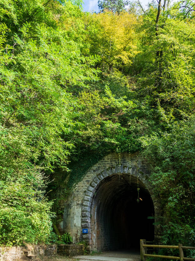 Tunnel de la Diane (Voie PLM)