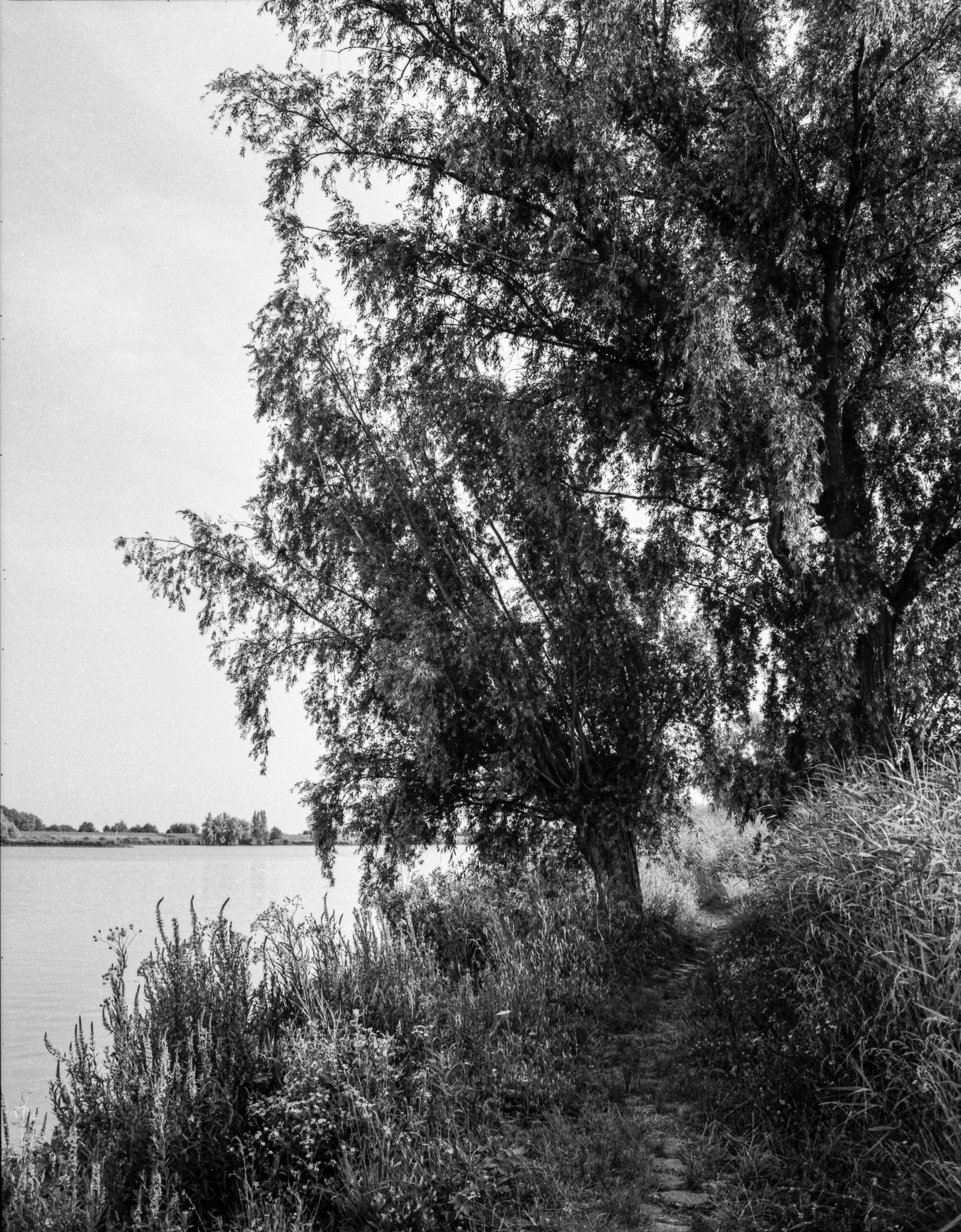 De Bol - Bronica ETRS