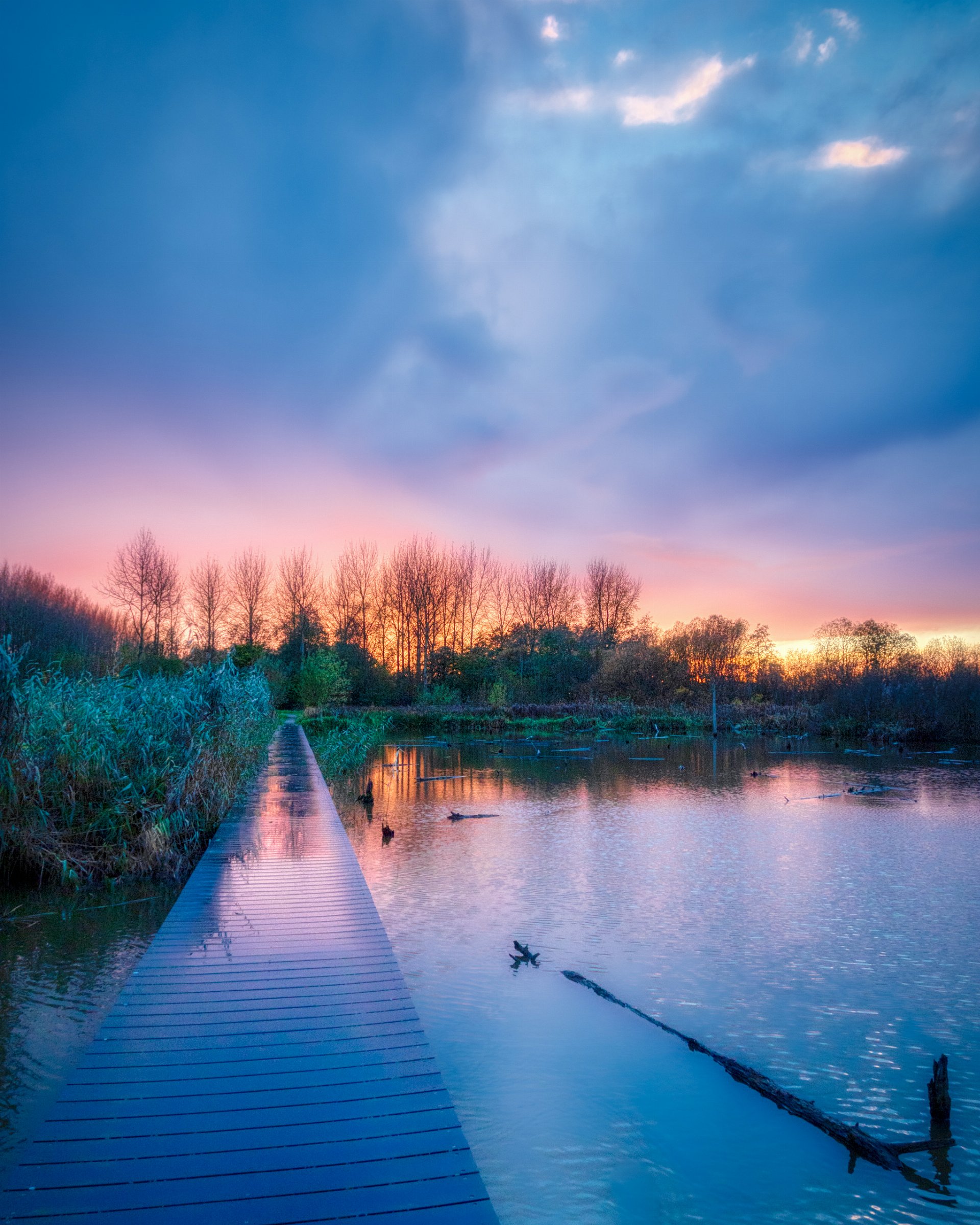 Verdronken Bos, Tull en 't Waal