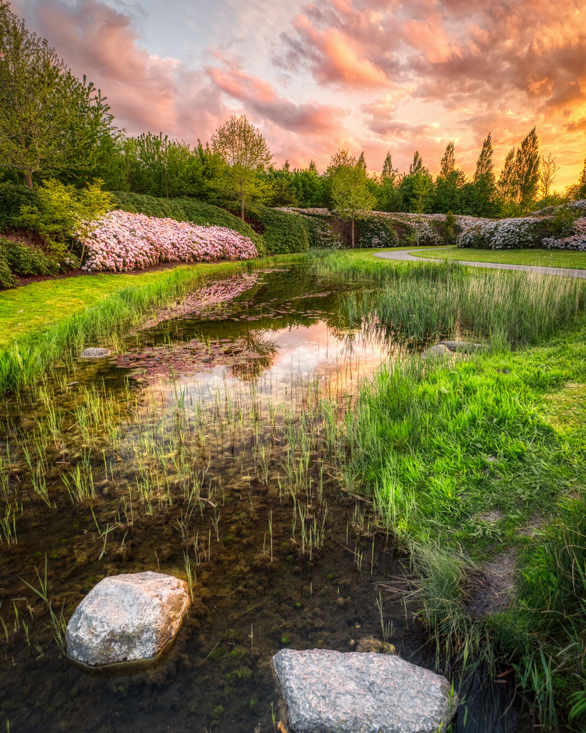 Japanese Garden, Máximapark, Utrecht